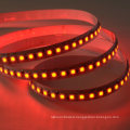 SMD3838 70LEDs/m RGB 24V 8mm LED Strip with High Quality